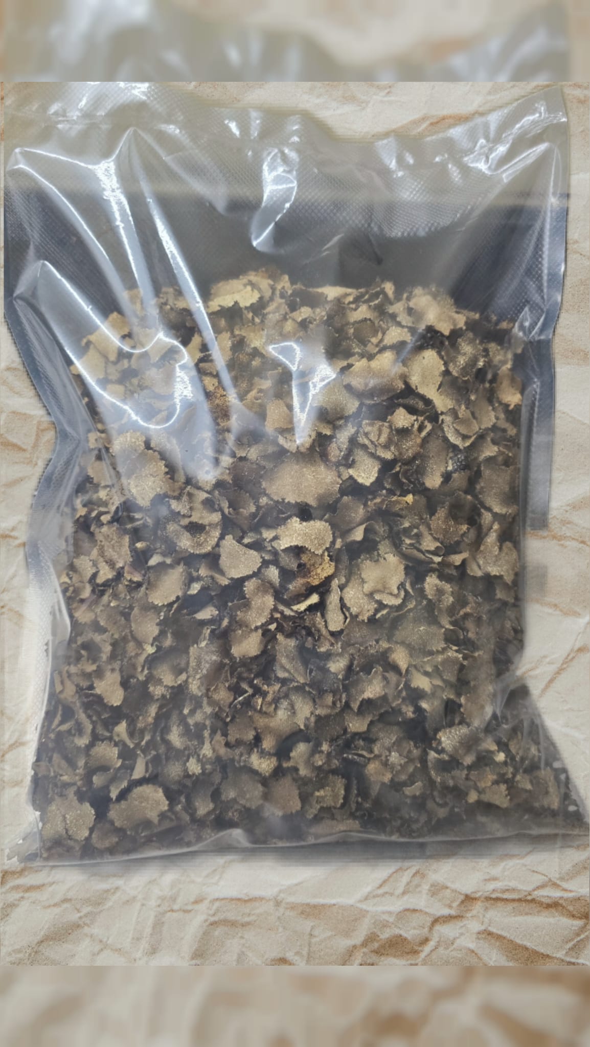 Getrocknete Scheiben schwarzer Sommertrüffel Tuber Aestivum – Bild 2